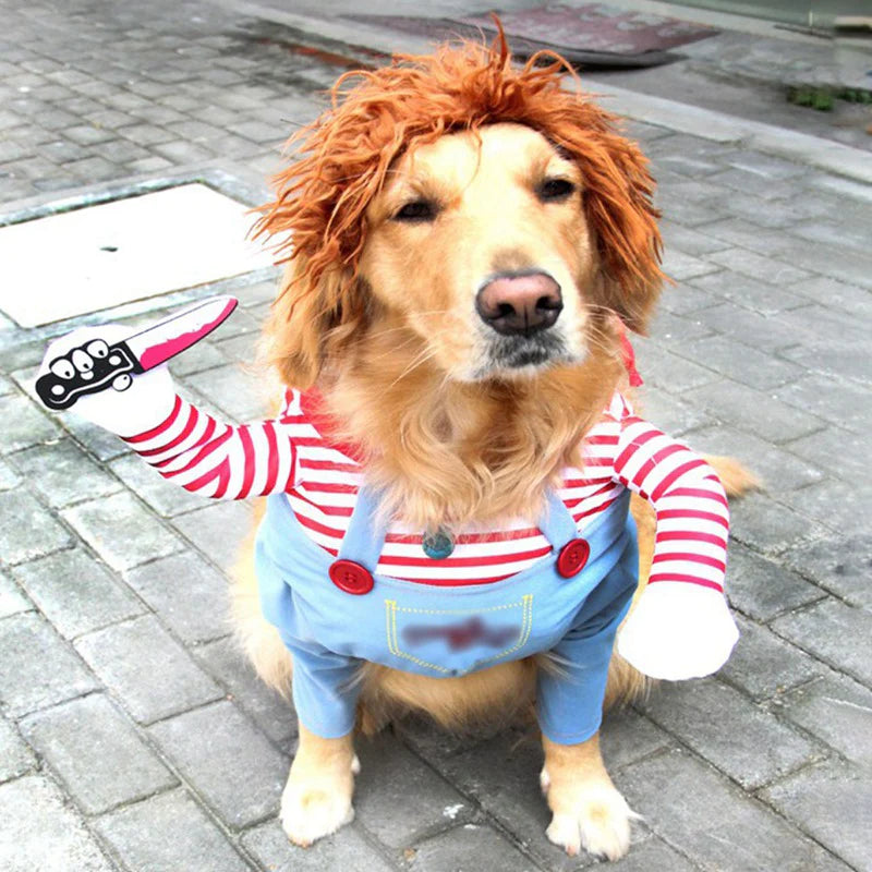 All Dogs Love funny doll character pet costume on a golden retriever with striped sleeves, overalls, and orange wig
